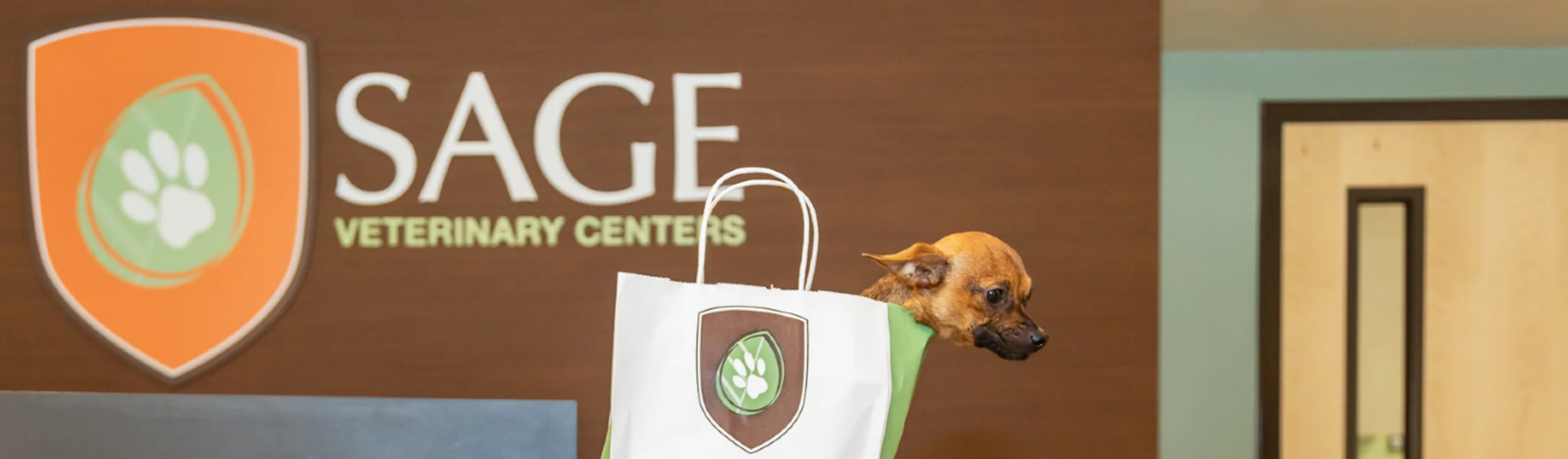The front office of the SAGE concord location with a brown dog inside of a bag 